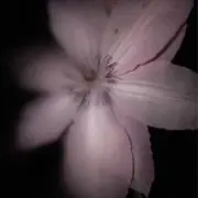 mnの画像