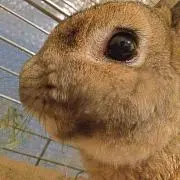 みなと