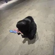 愛の画像