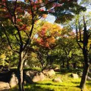 EKの画像