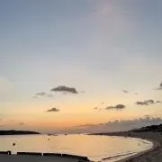 Dの画像