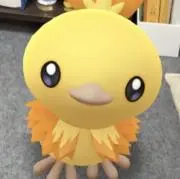 アクアの画像