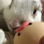 ひろりん