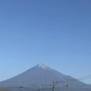 ぴぴぴの画像