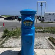 せらの画像