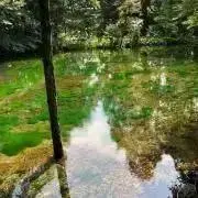 ルル