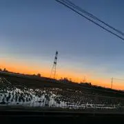 チョリソー