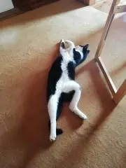 あ