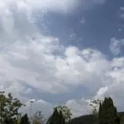 Beegleの画像