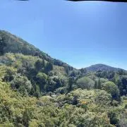 晴れる日の画像
