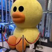 ぴー