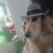 りーさん