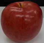 Soの画像