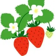 *♡berry♡*の画像