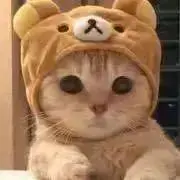 tamaの画像