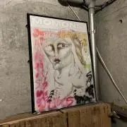 maaaの画像