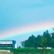 toricoの画像