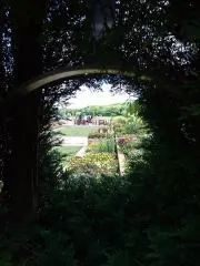 Self ロッシ  [プロフ必読下さい]の画像