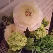 あやの画像