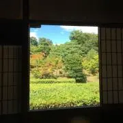 motiの画像