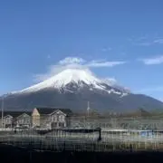 rena0703の画像