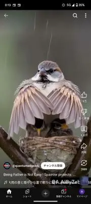 あさいあさい7