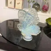パピヨンの画像