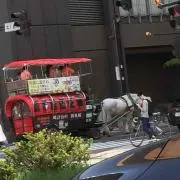 JPS