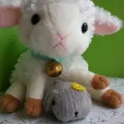 まゆみ