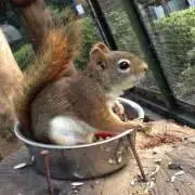 基依 ＊プロフ必読＊