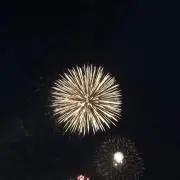 さかの画像