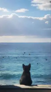 赤い