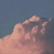 猫の画像