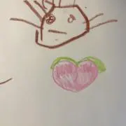 あぽぽの画像
