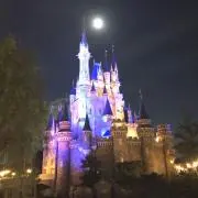 メルシーの画像