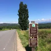 エダ