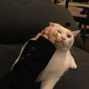 めんたる