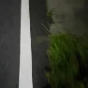 ハル