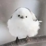 にしたひの画像