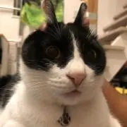 ひろのり