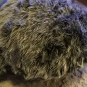 Ummの画像