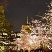 Nの画像
