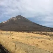 あいの画像