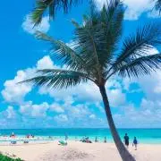 ☺︎Hawaii大好き☺︎の画像