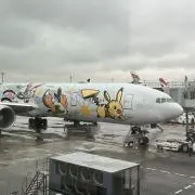 アカツキの画像