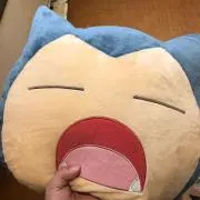 ちゃーの画像
