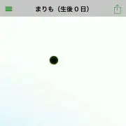『あっきー』