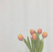N ◌プロフ必読◌の画像
