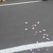 みかん.の画像