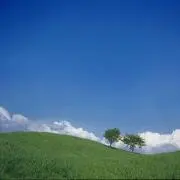hkyの画像